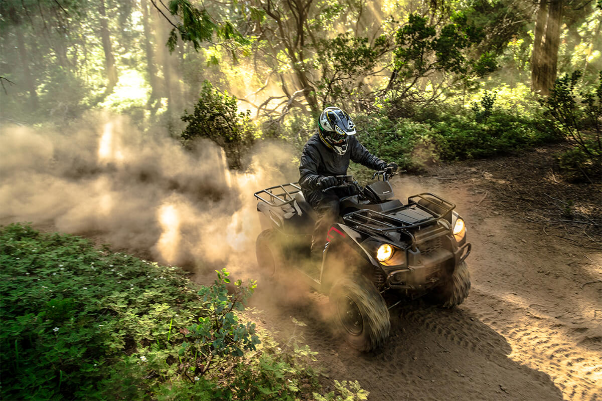 2023 Kawasaki Brute Force 300 in Huron, Ohio - Photo 7