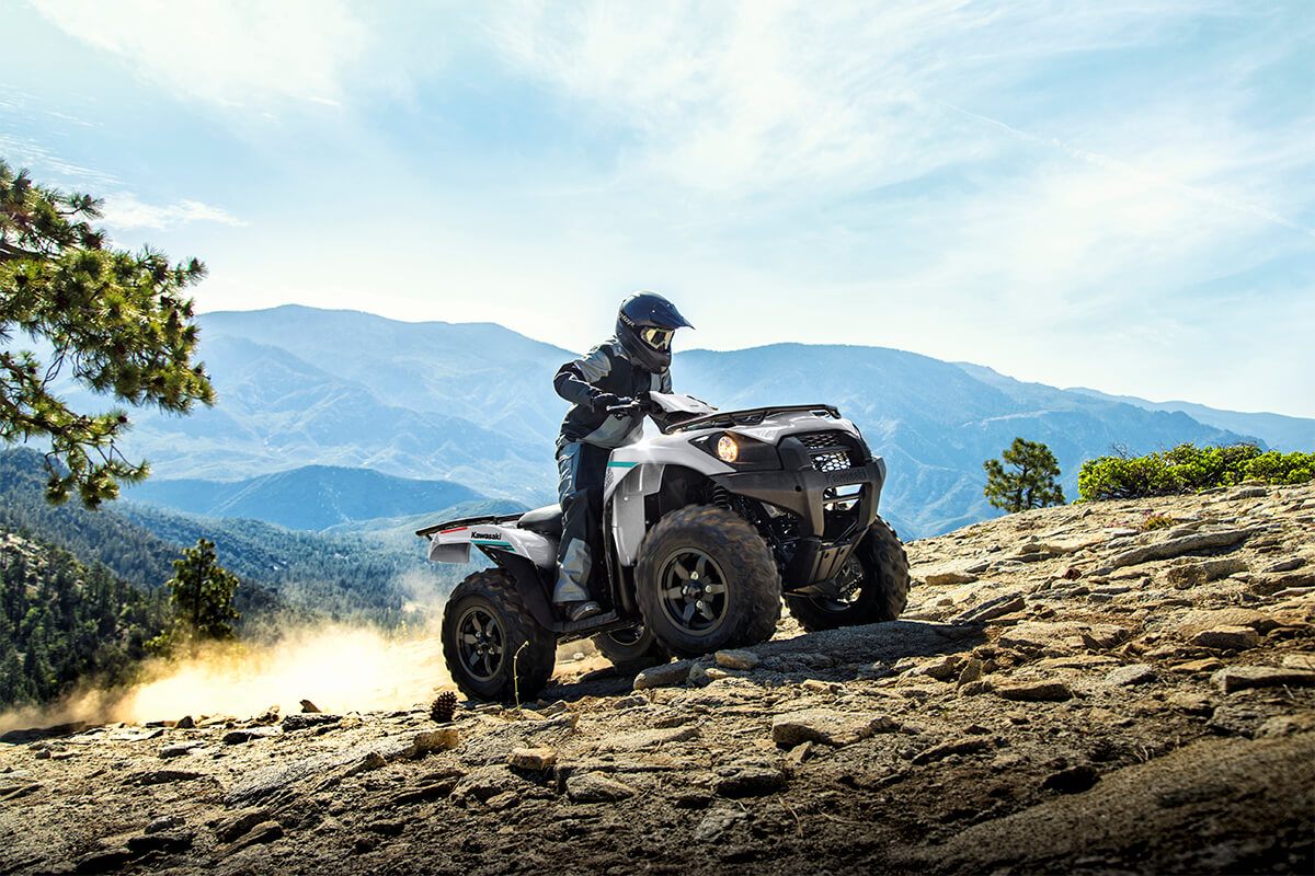 2023 Kawasaki Brute Force 750 4x4i EPS in Huron, Ohio - Photo 8