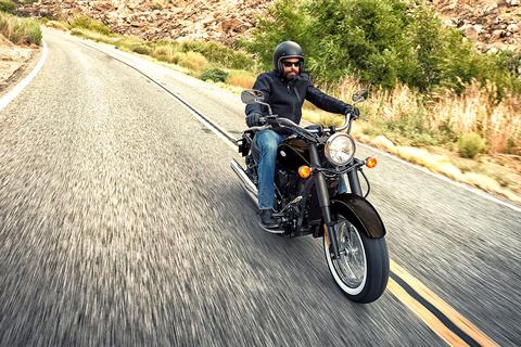 2023 Kawasaki Vulcan 900 Classic in Santa Maria, California - Photo 8