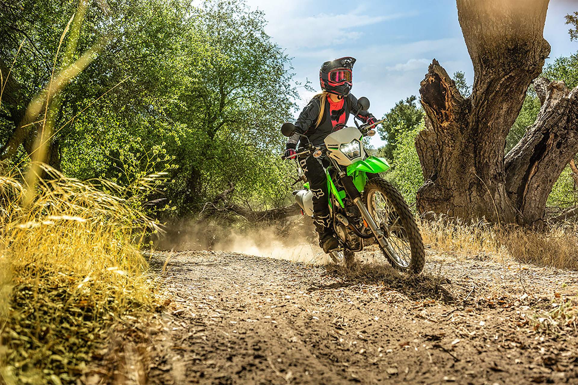 2023 Kawasaki KLX 230 S ABS in Columbia, Missouri - Photo 27
