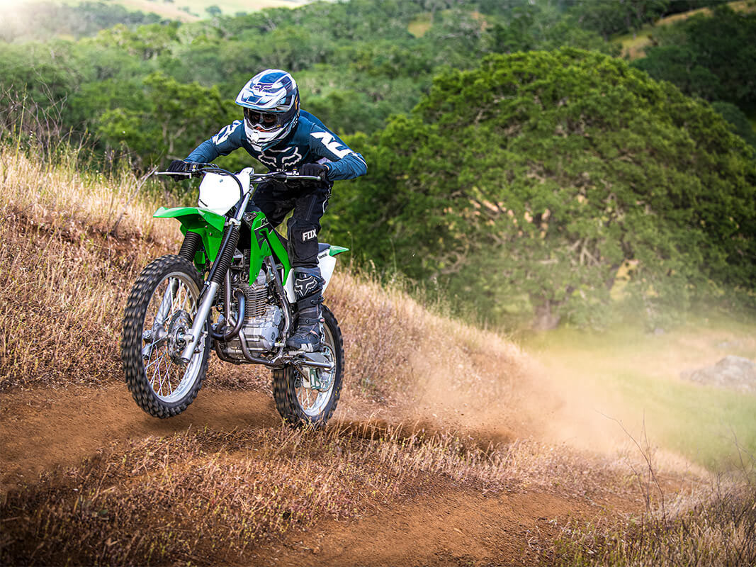 2023 Kawasaki KLX 230R in Huron, Ohio - Photo 6