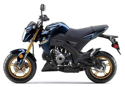 2023 Kawasaki Z125 Pro in Northampton, Massachusetts - Photo 13