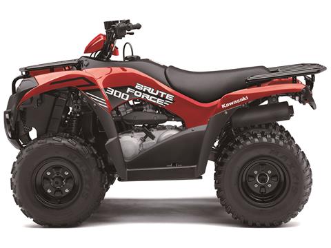 2024 Kawasaki Brute Force 300 in Marietta, Ohio - Photo 2