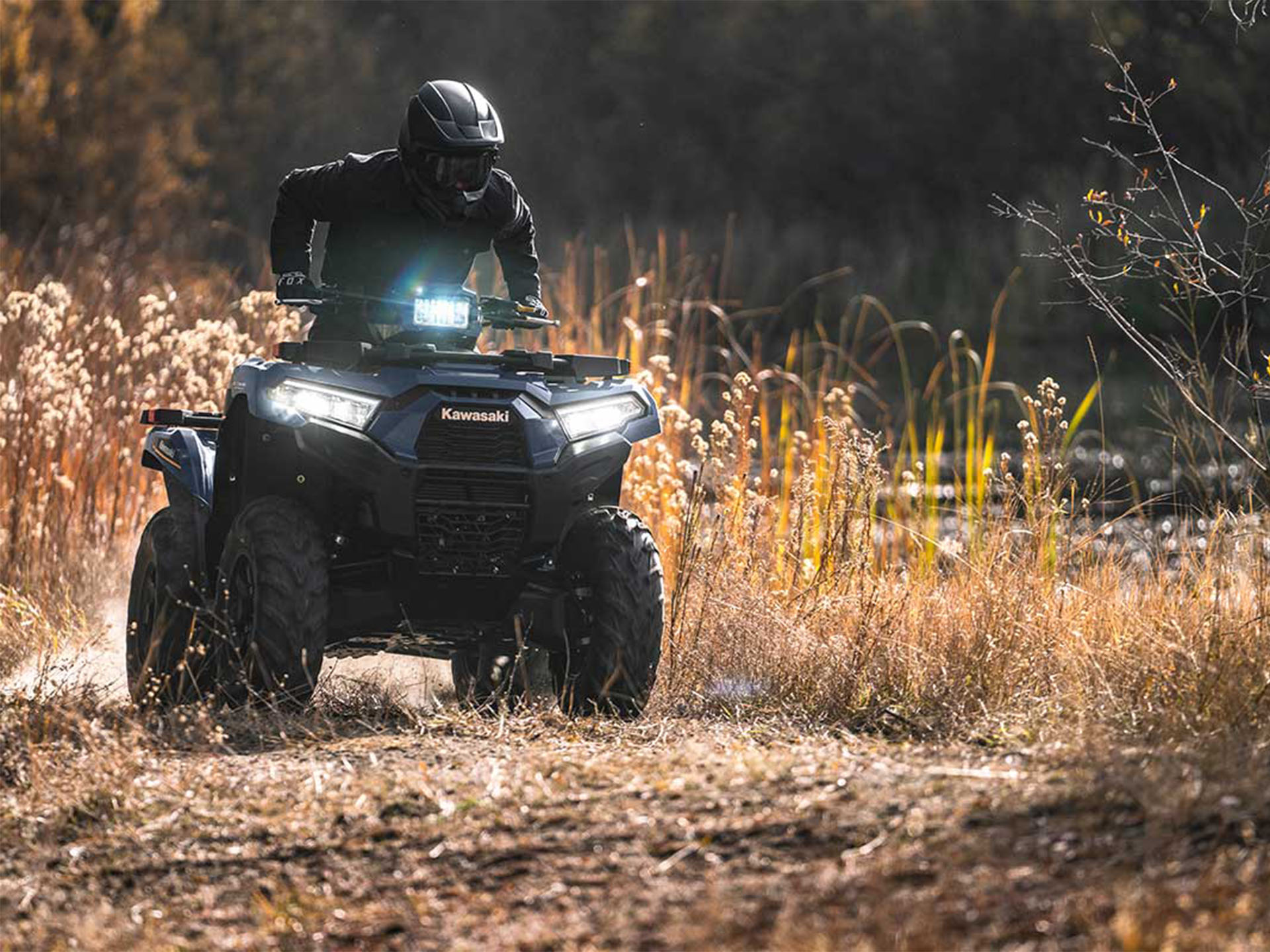 2024 Kawasaki Brute Force 750 EPS in North Bend, Oregon - Photo 14