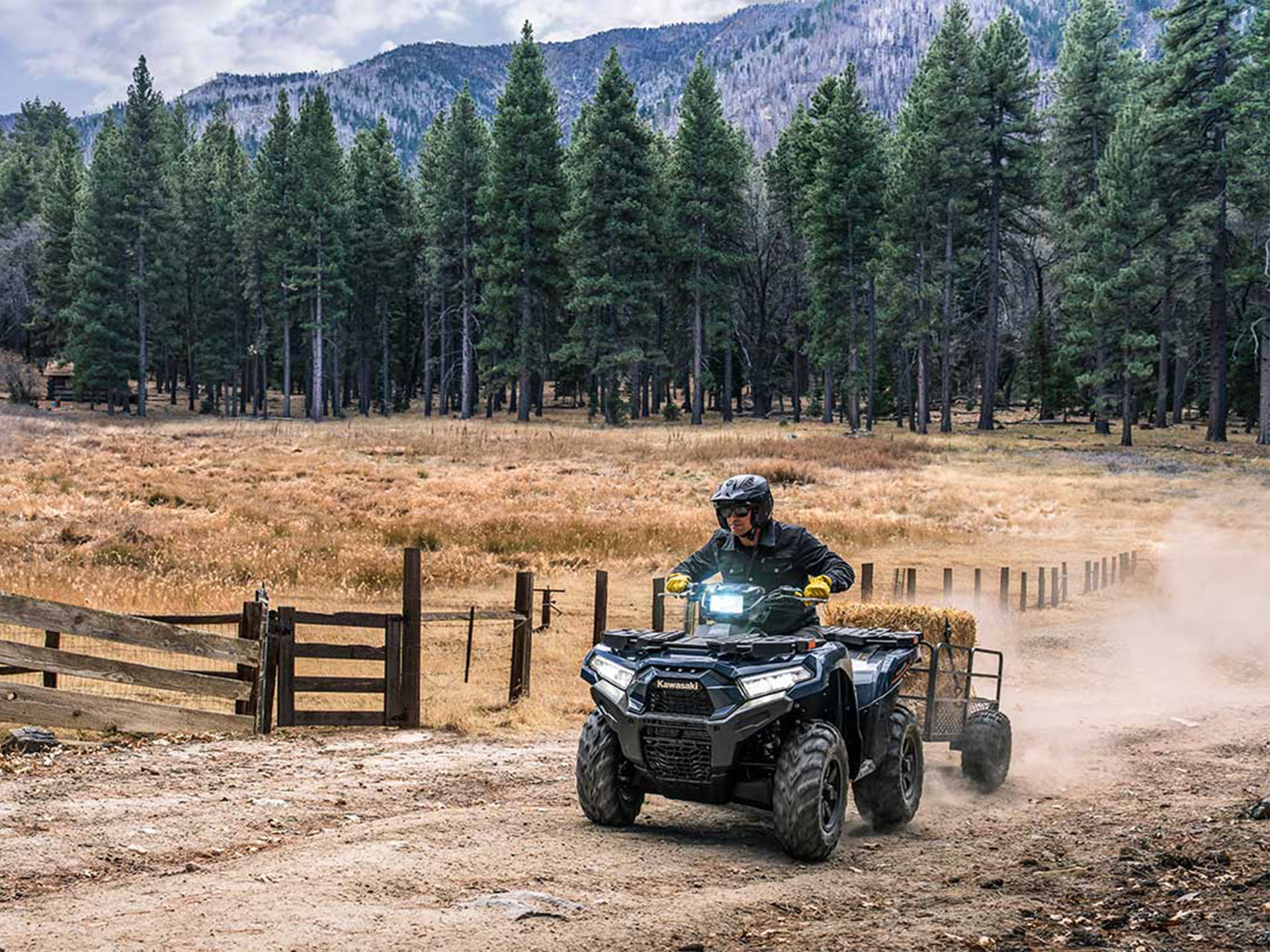 2024 Kawasaki Brute Force 750 EPS in North Bend, Oregon - Photo 17