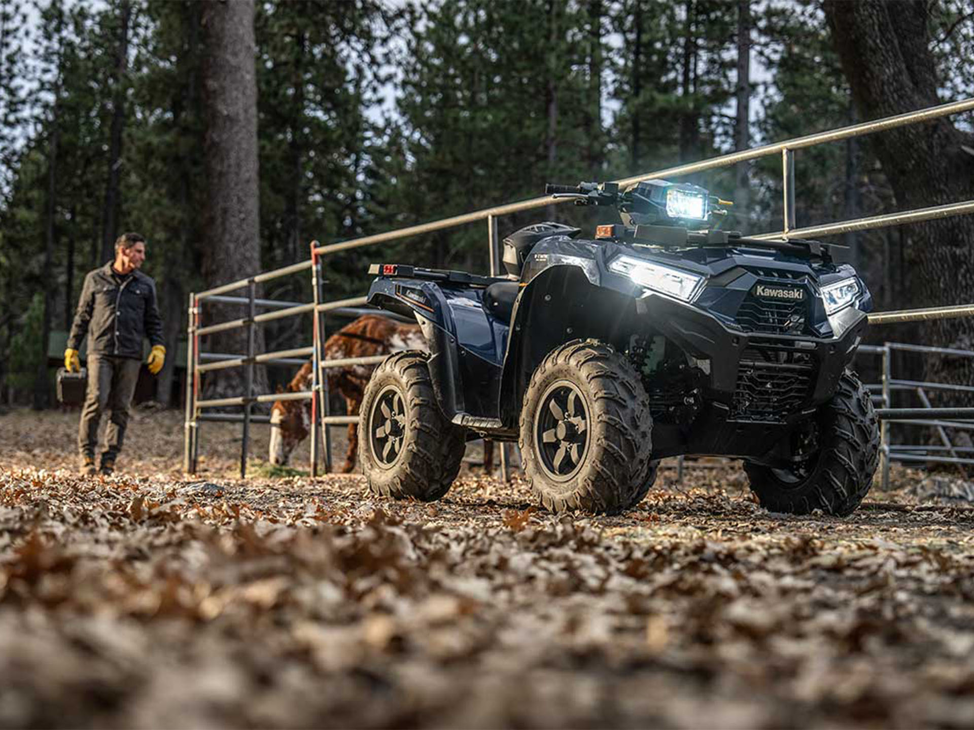 2024 Kawasaki Brute Force 750 EPS in North Bend, Oregon - Photo 18