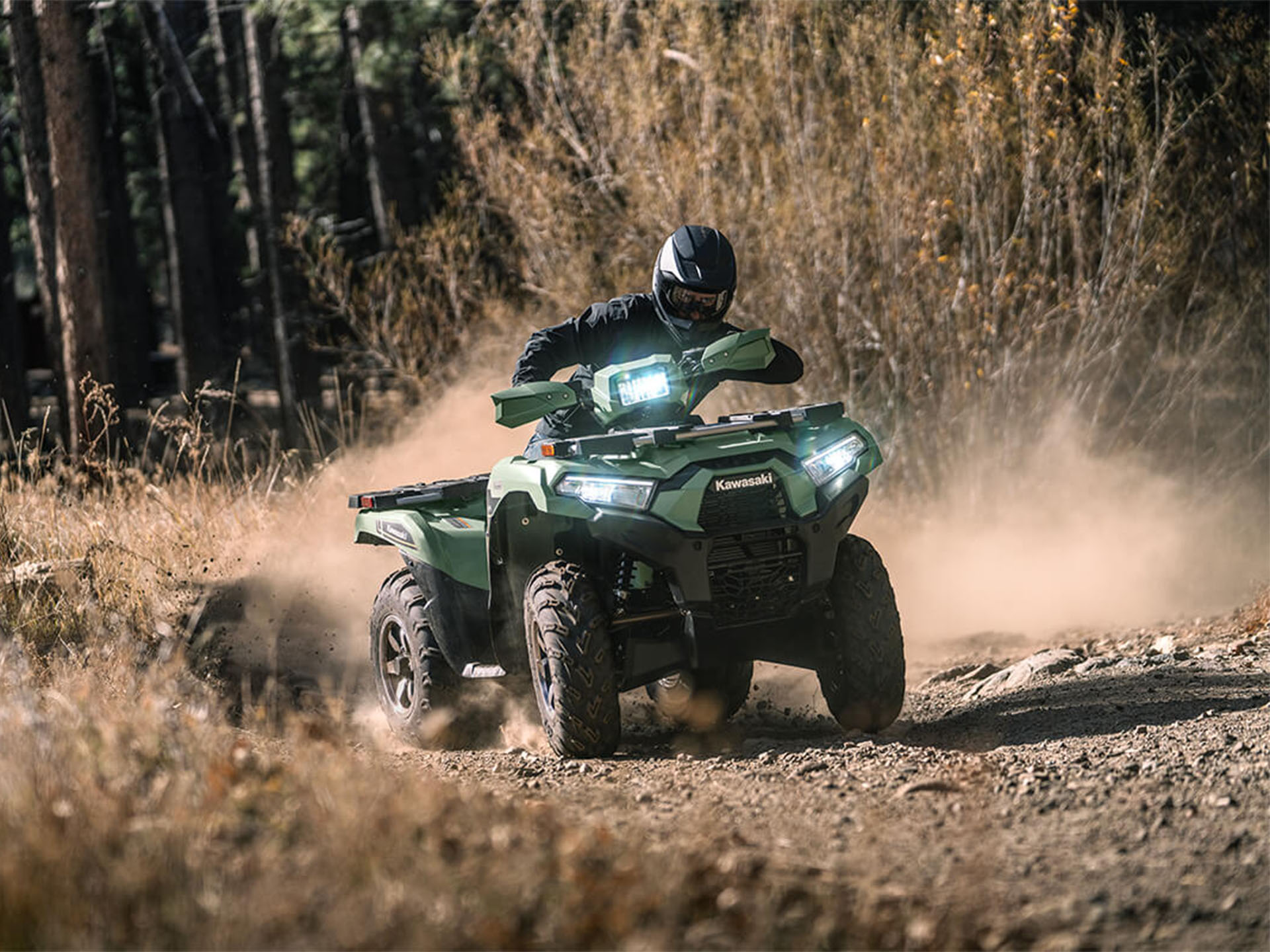 2024 Kawasaki Brute Force 750 LE EPS in North Bend, Oregon - Photo 8