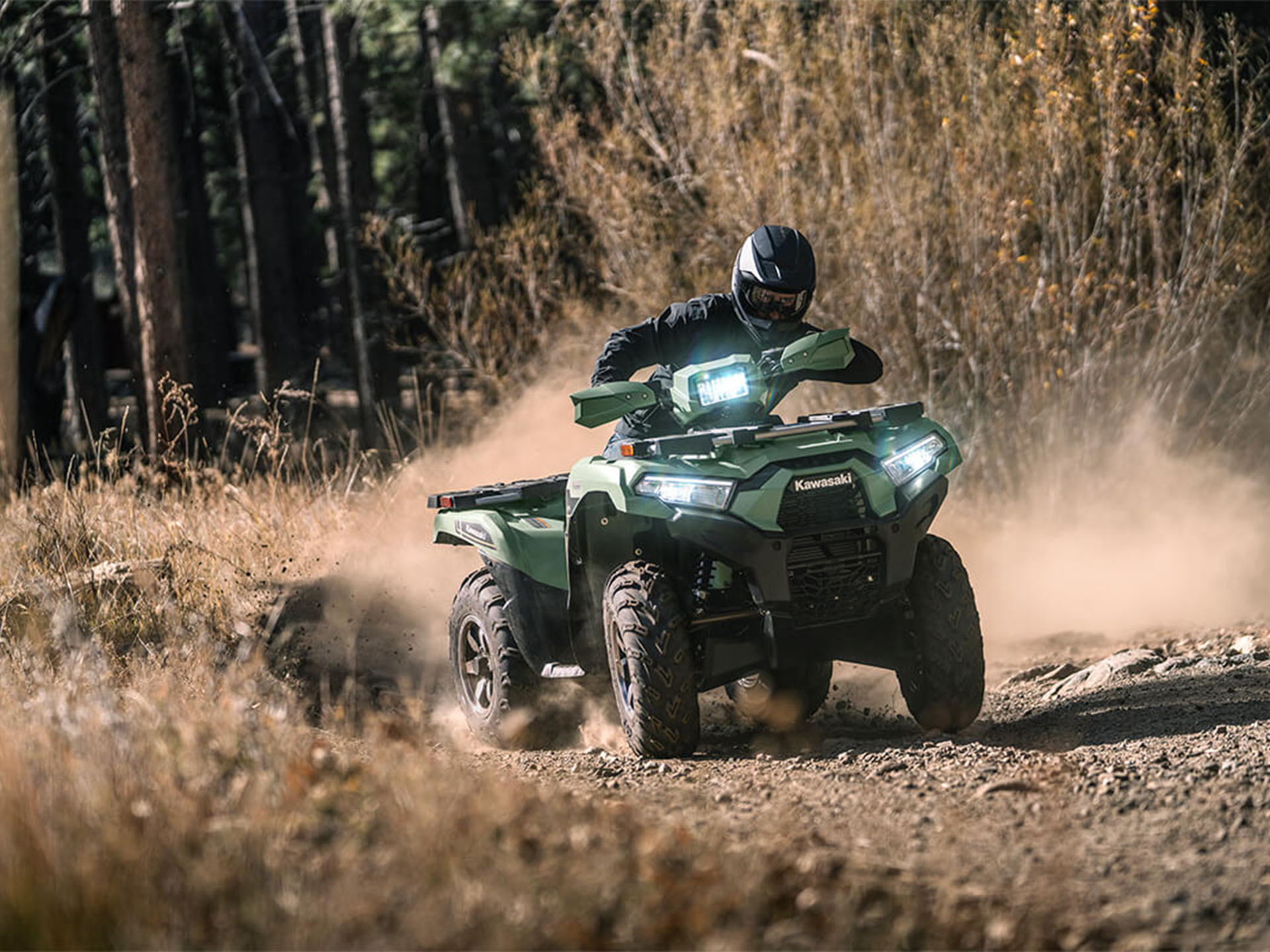 2024 Kawasaki Brute Force 750 LE EPS in North Bend, Oregon - Photo 7