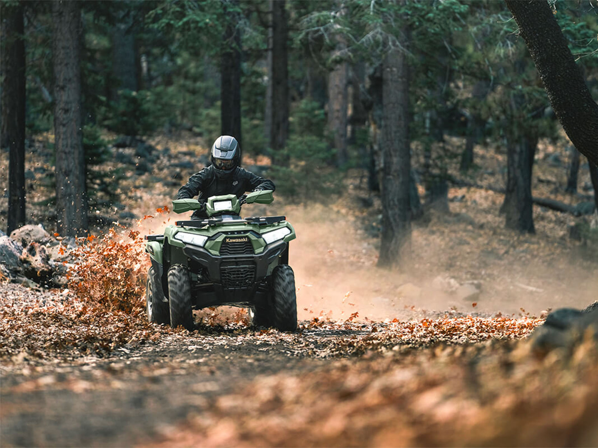 2024 Kawasaki Brute Force 750 LE EPS in North Bend, Oregon - Photo 8