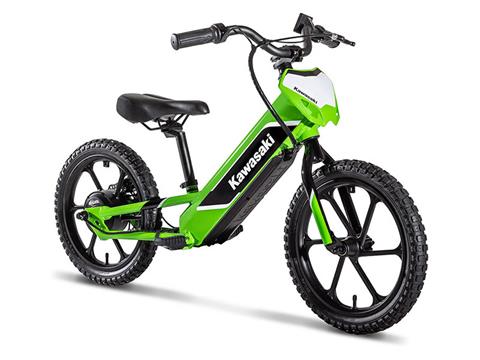 2024 Kawasaki Elektrode 16 in Enfield, Connecticut - Photo 3