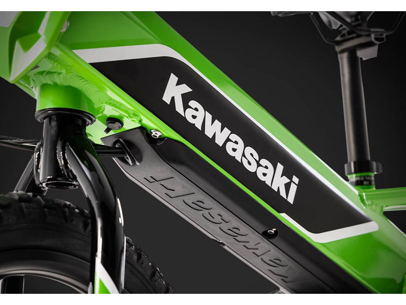 2024 Kawasaki Elektrode 16 in Enfield, Connecticut - Photo 5