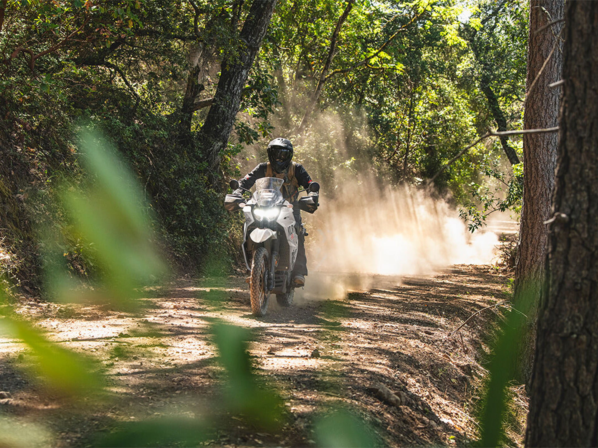 2024 Kawasaki KLR 650 in Enfield, Connecticut - Photo 4
