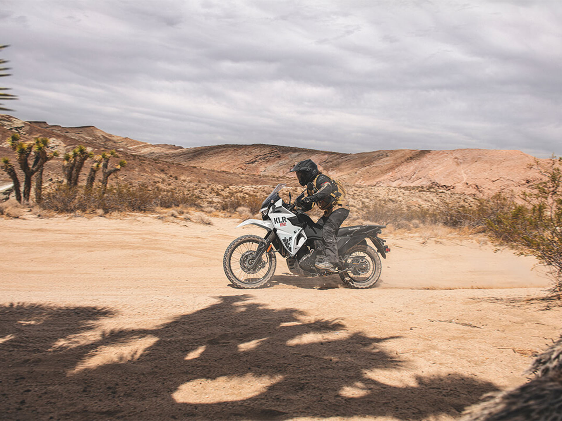 2024 Kawasaki KLR 650 in Enfield, Connecticut - Photo 7