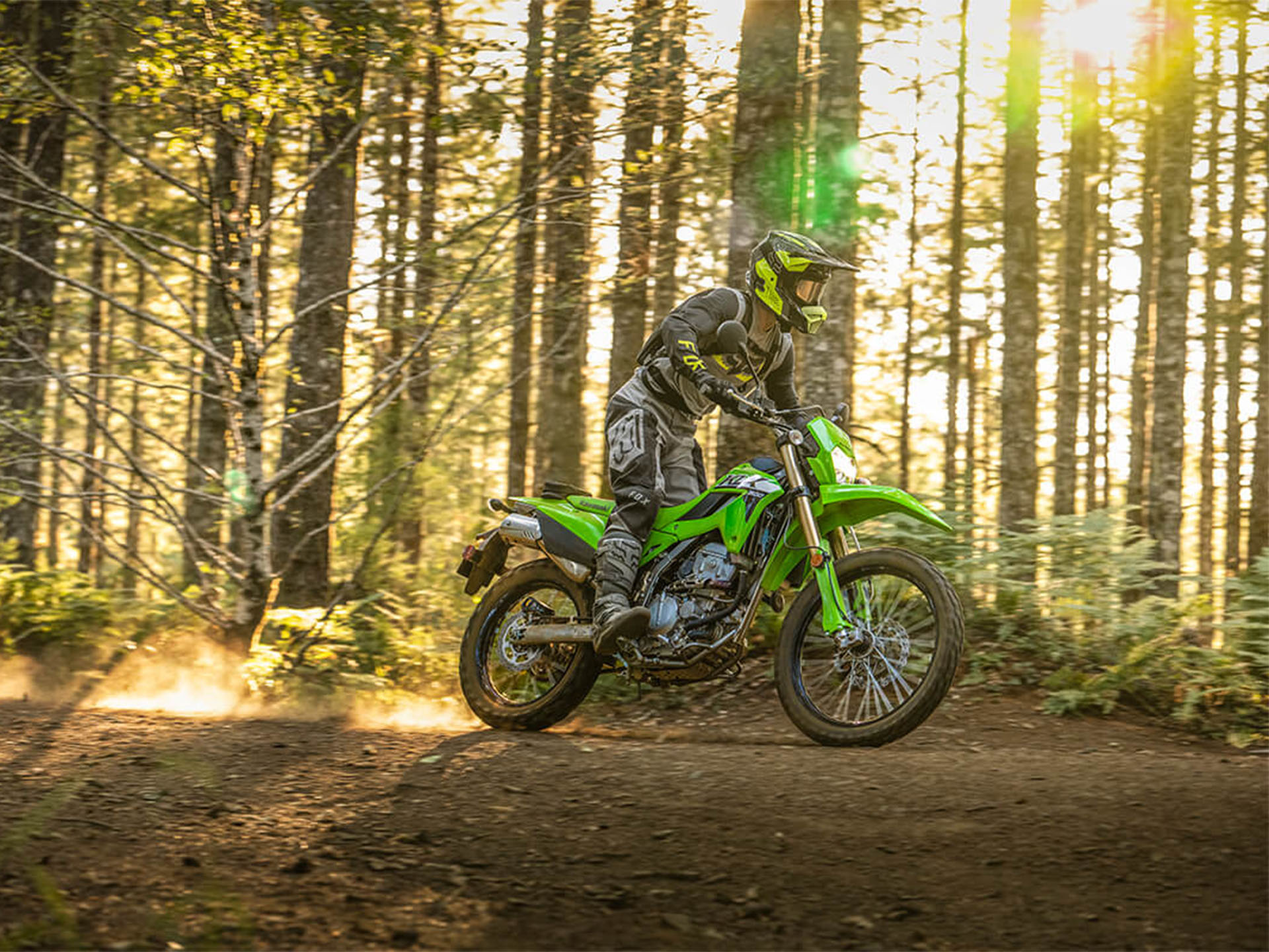 2024 Kawasaki KLX 300 in Fairview, Utah - Photo 11