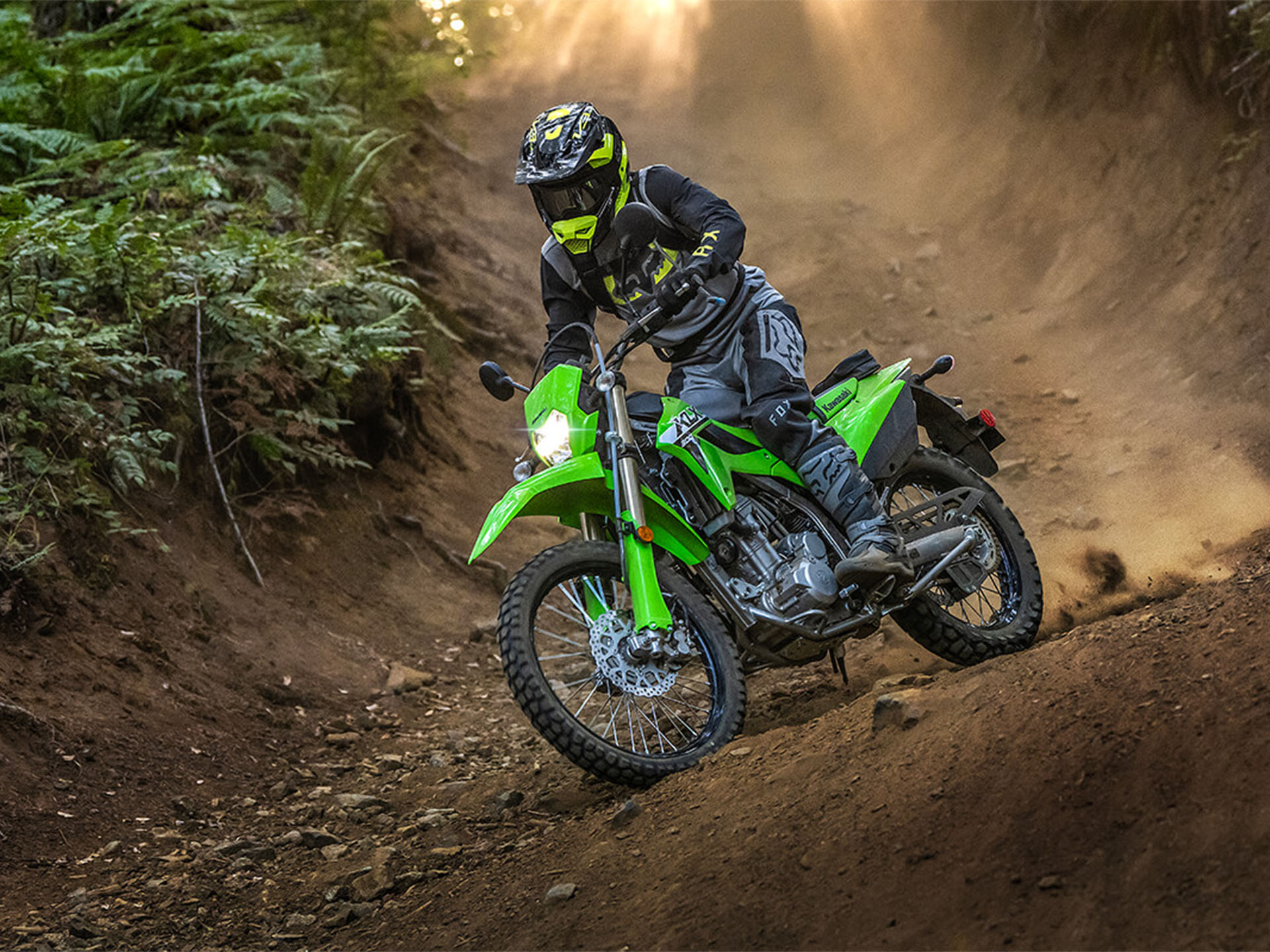 2024 Kawasaki KLX 300 in Fairview, Utah - Photo 12