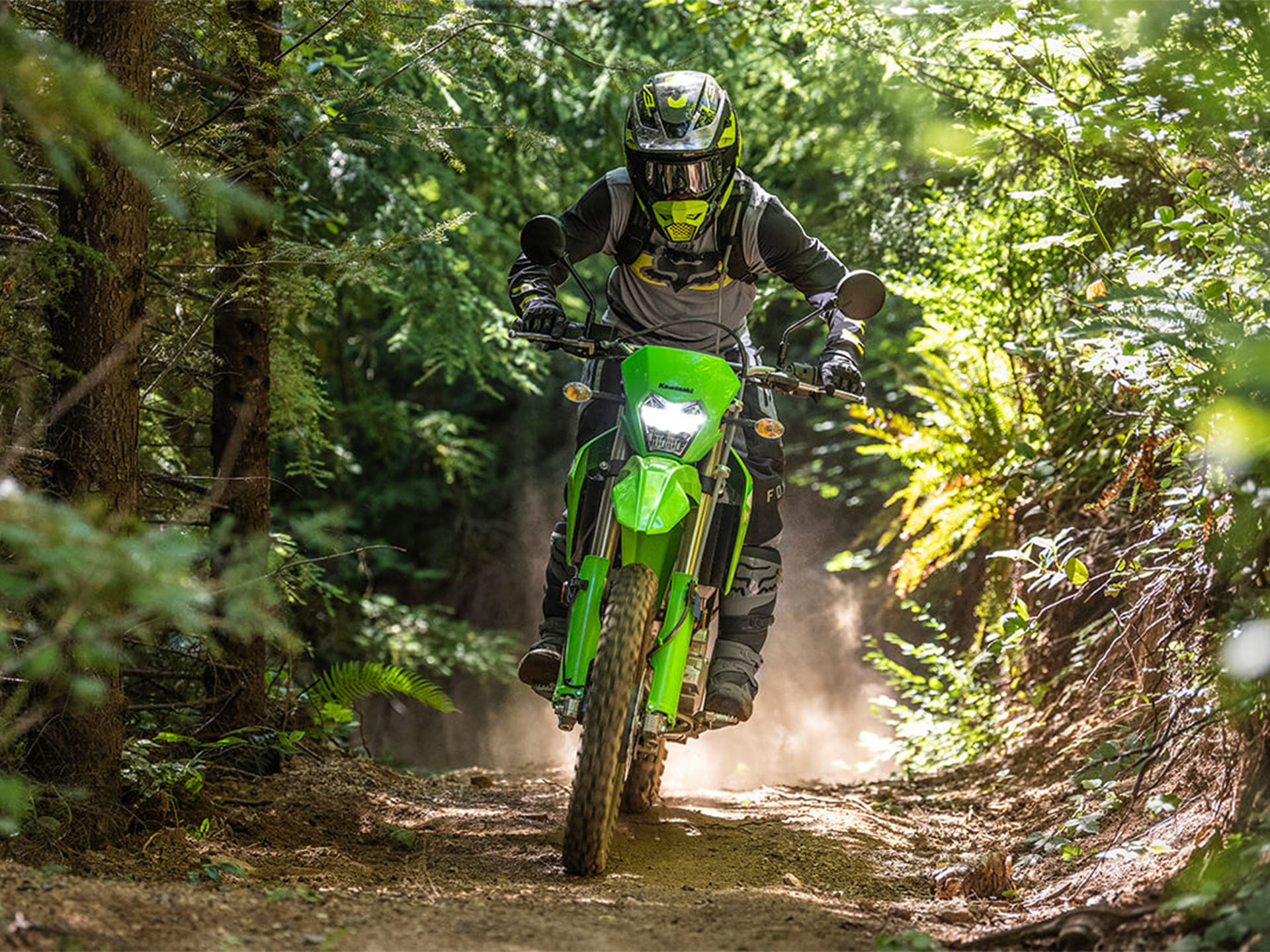 2024 Kawasaki KLX 300 in Fairview, Utah - Photo 13
