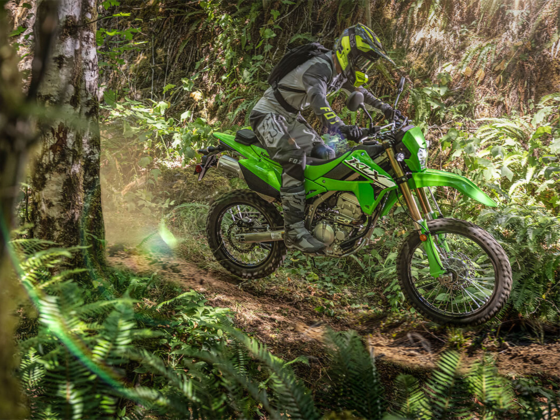 2024 Kawasaki KLX 300 in Fairview, Utah - Photo 14