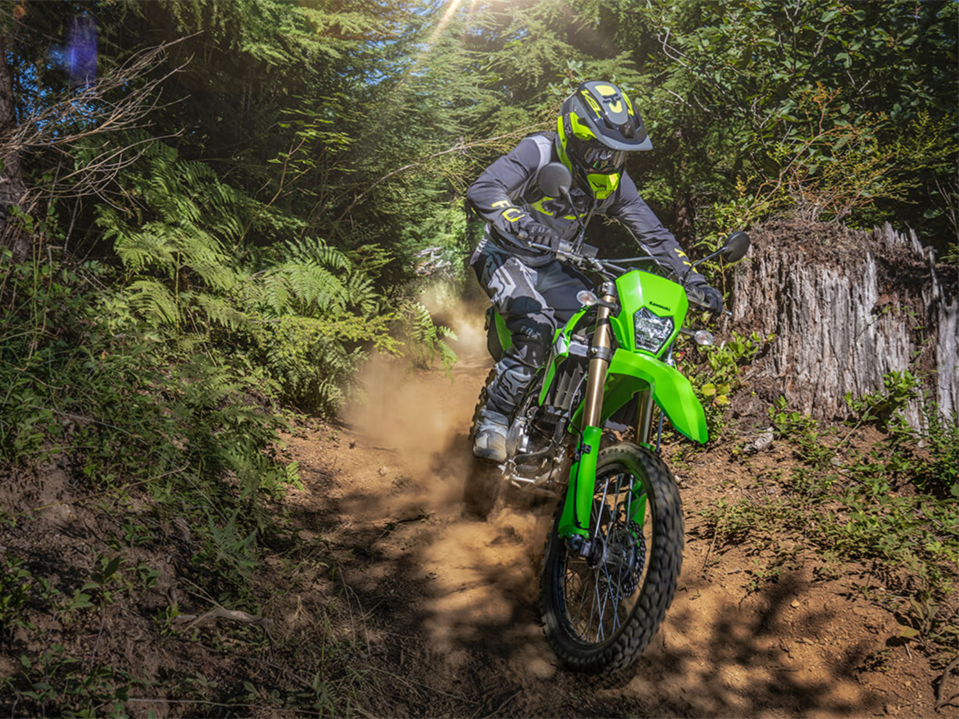2024 Kawasaki KLX 300 in Fairview, Utah - Photo 15