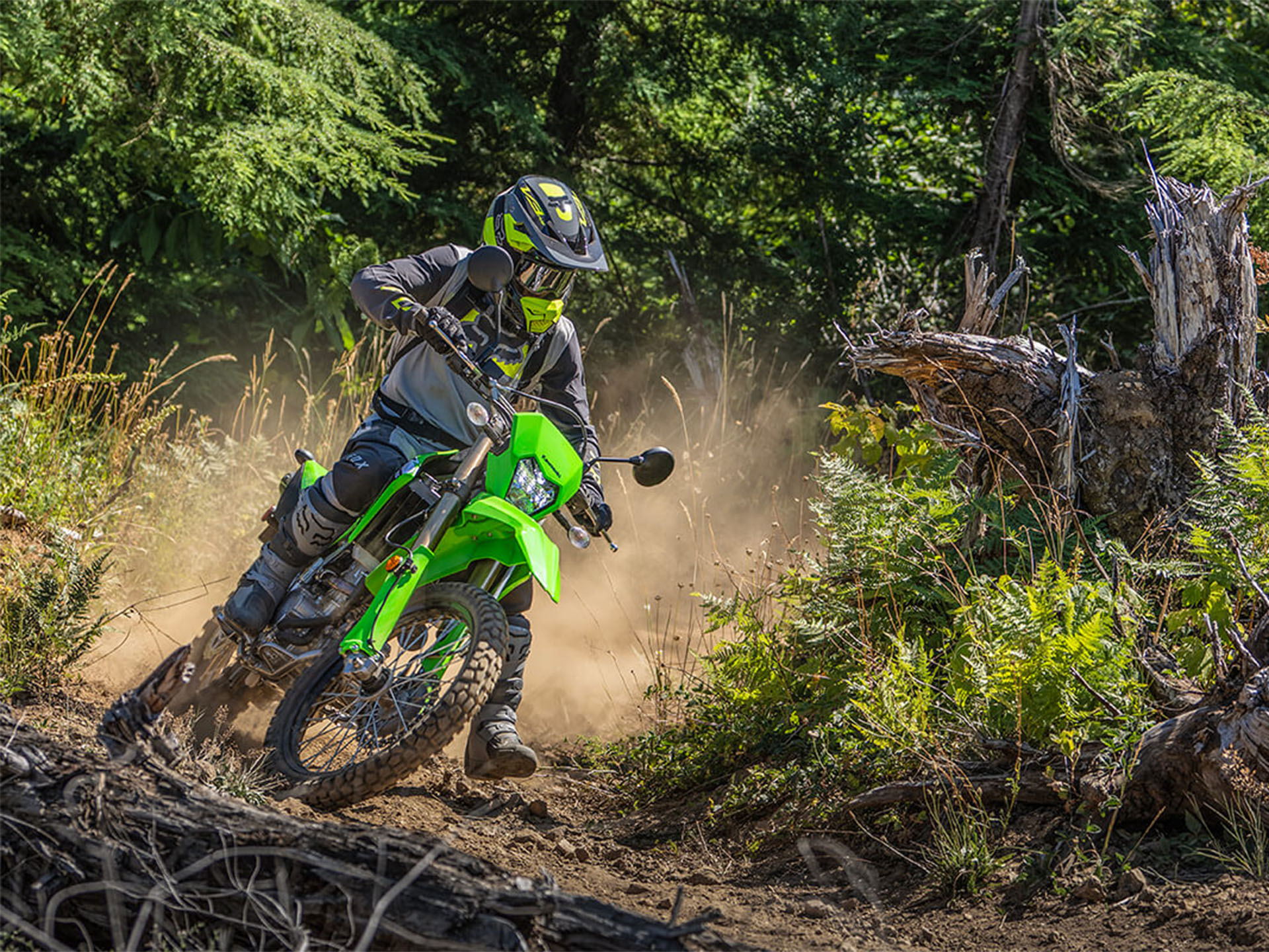 2024 Kawasaki KLX 300 in Fairview, Utah - Photo 18