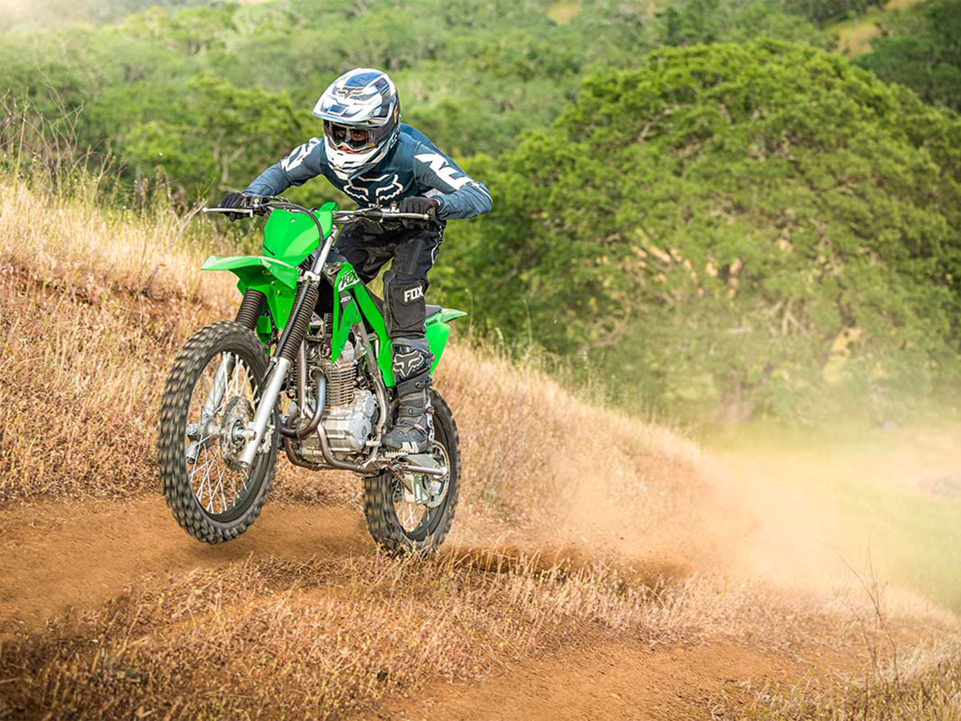 2024 Kawasaki KLX 230R in North Bend, Oregon - Photo 6