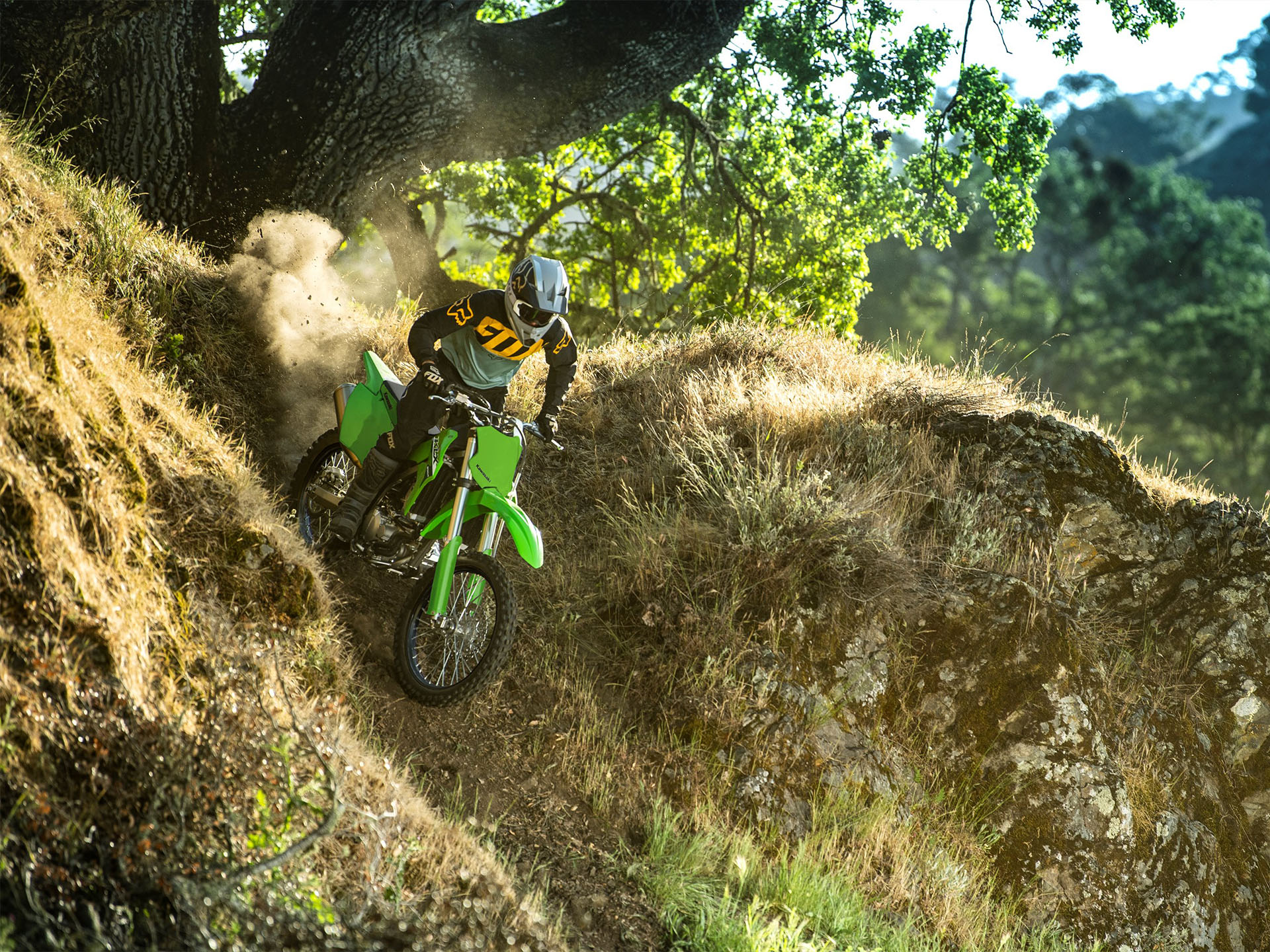 2024 Kawasaki KLX 300R in North Bend, Oregon - Photo 4