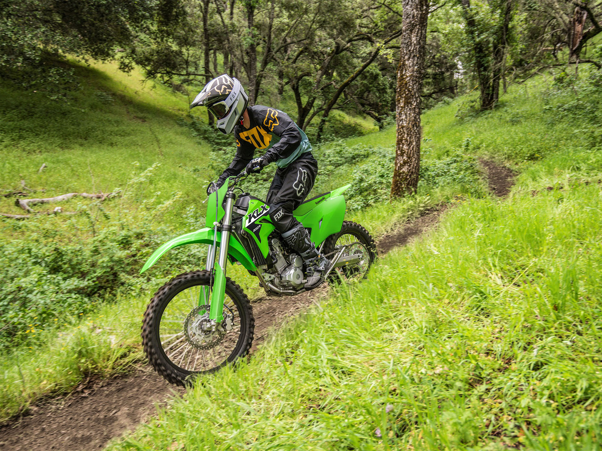 2024 Kawasaki KLX 300R in North Bend, Oregon - Photo 5
