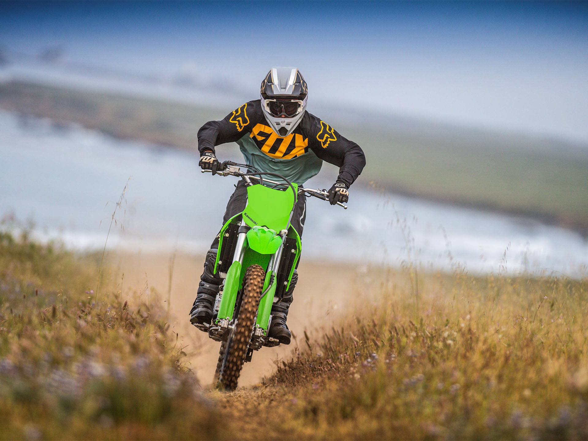 2024 Kawasaki KLX 300R in North Bend, Oregon - Photo 6