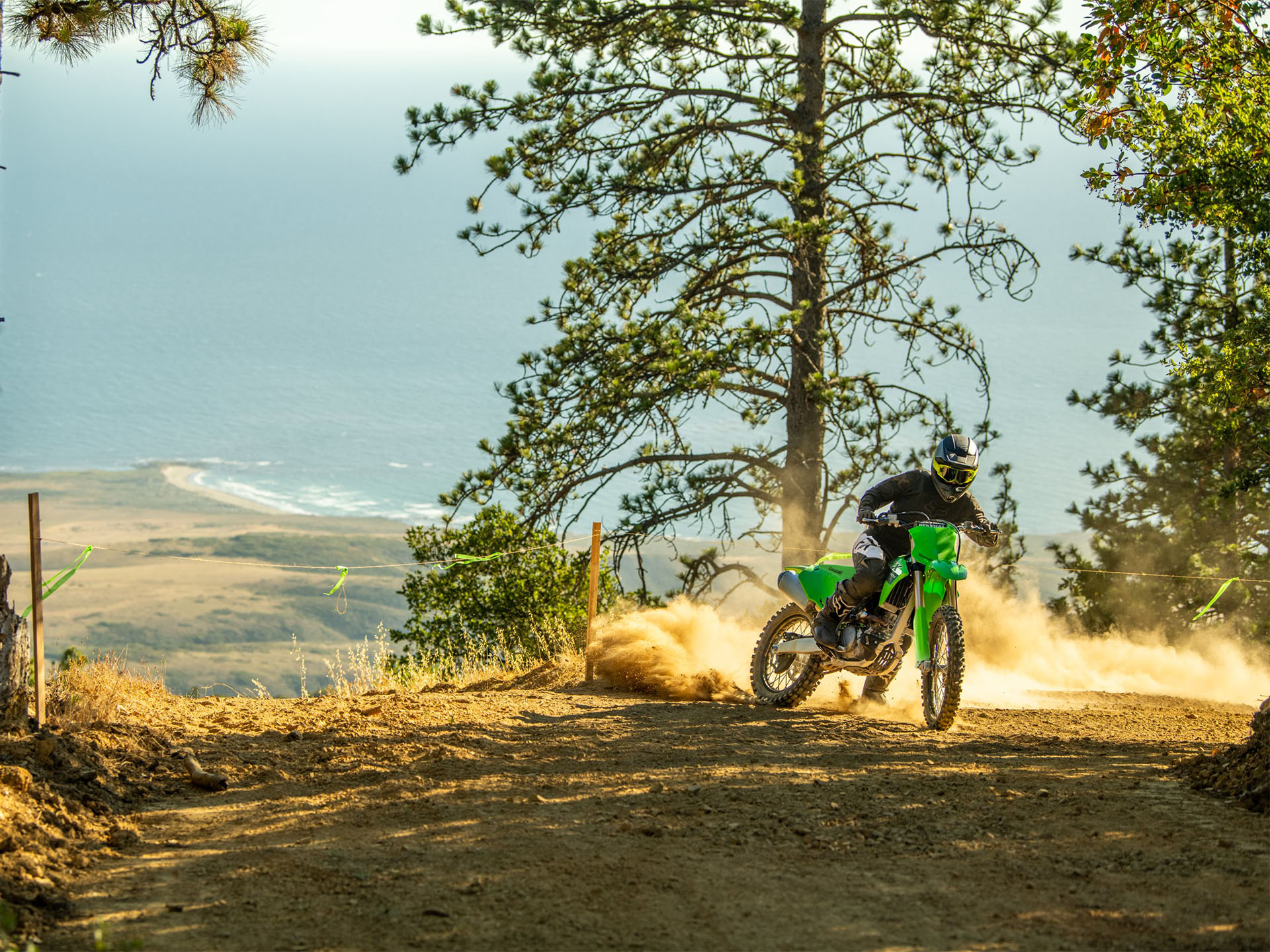 2024 Kawasaki KX 250X in North Bend, Oregon - Photo 9
