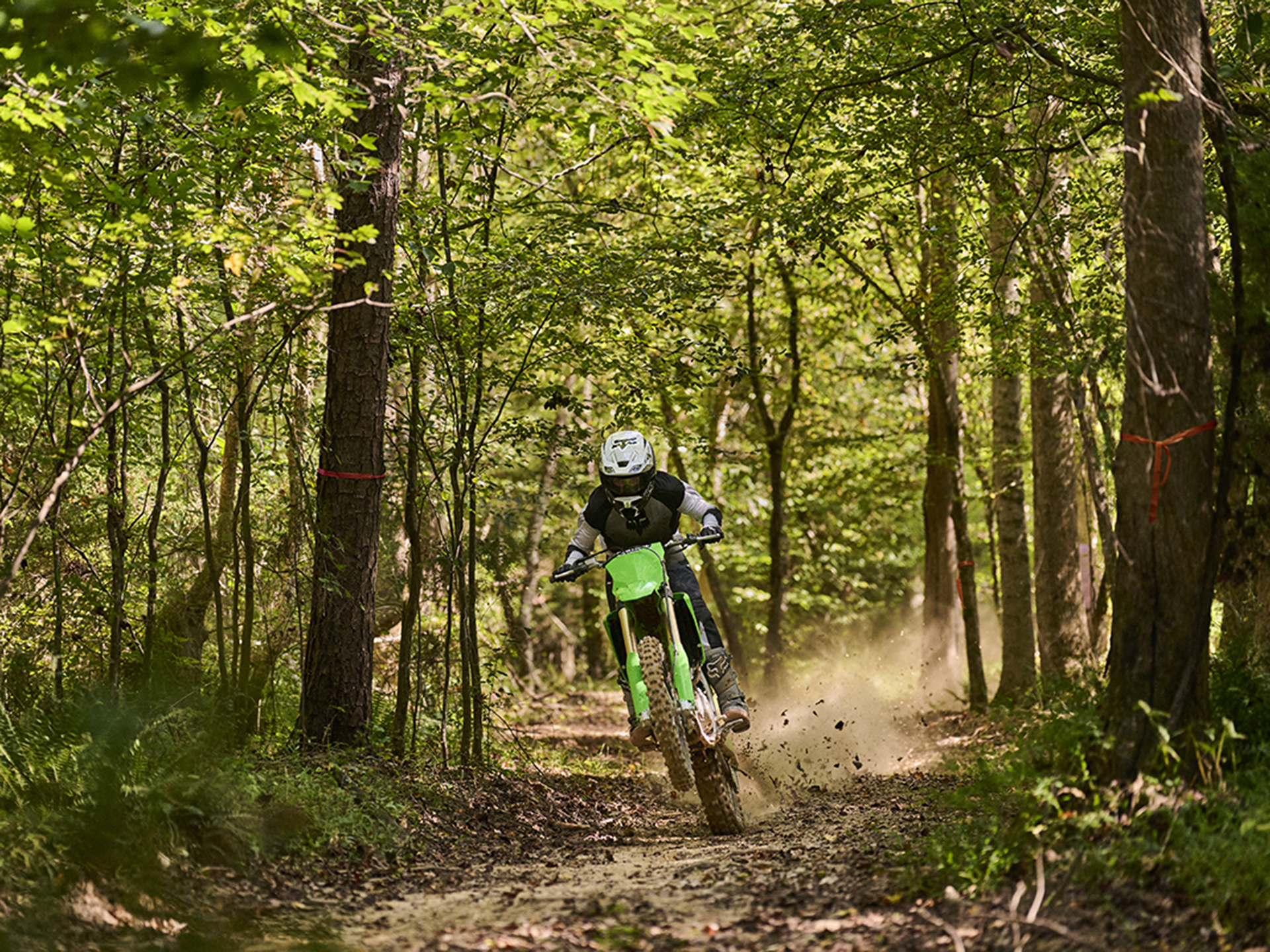 2024 Kawasaki KX 450X in Columbia, Missouri - Photo 4