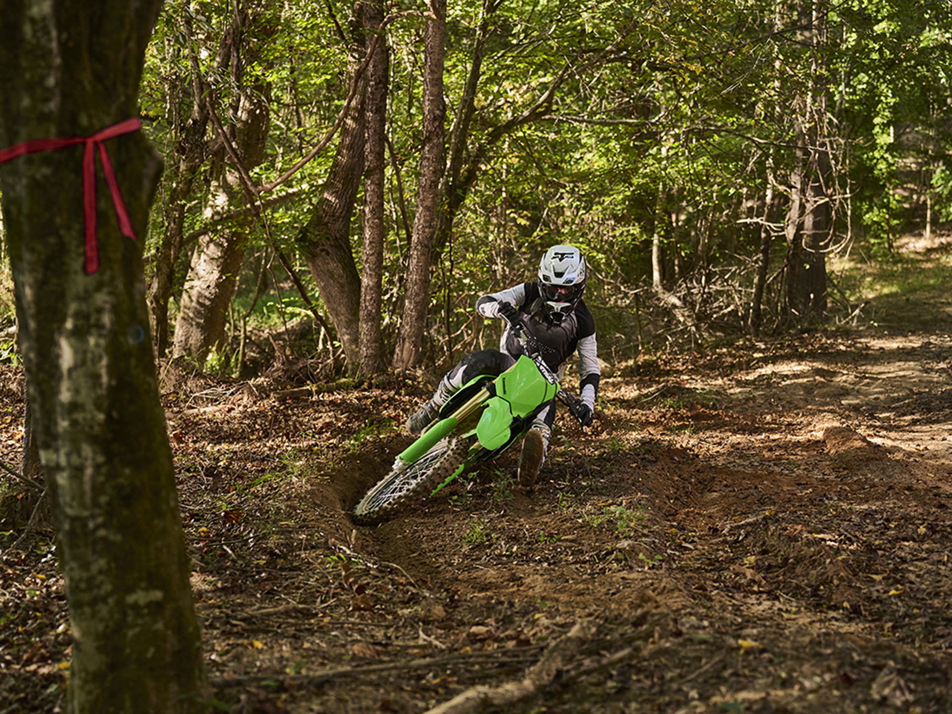 2024 Kawasaki KX 450X in Columbia, Missouri - Photo 5