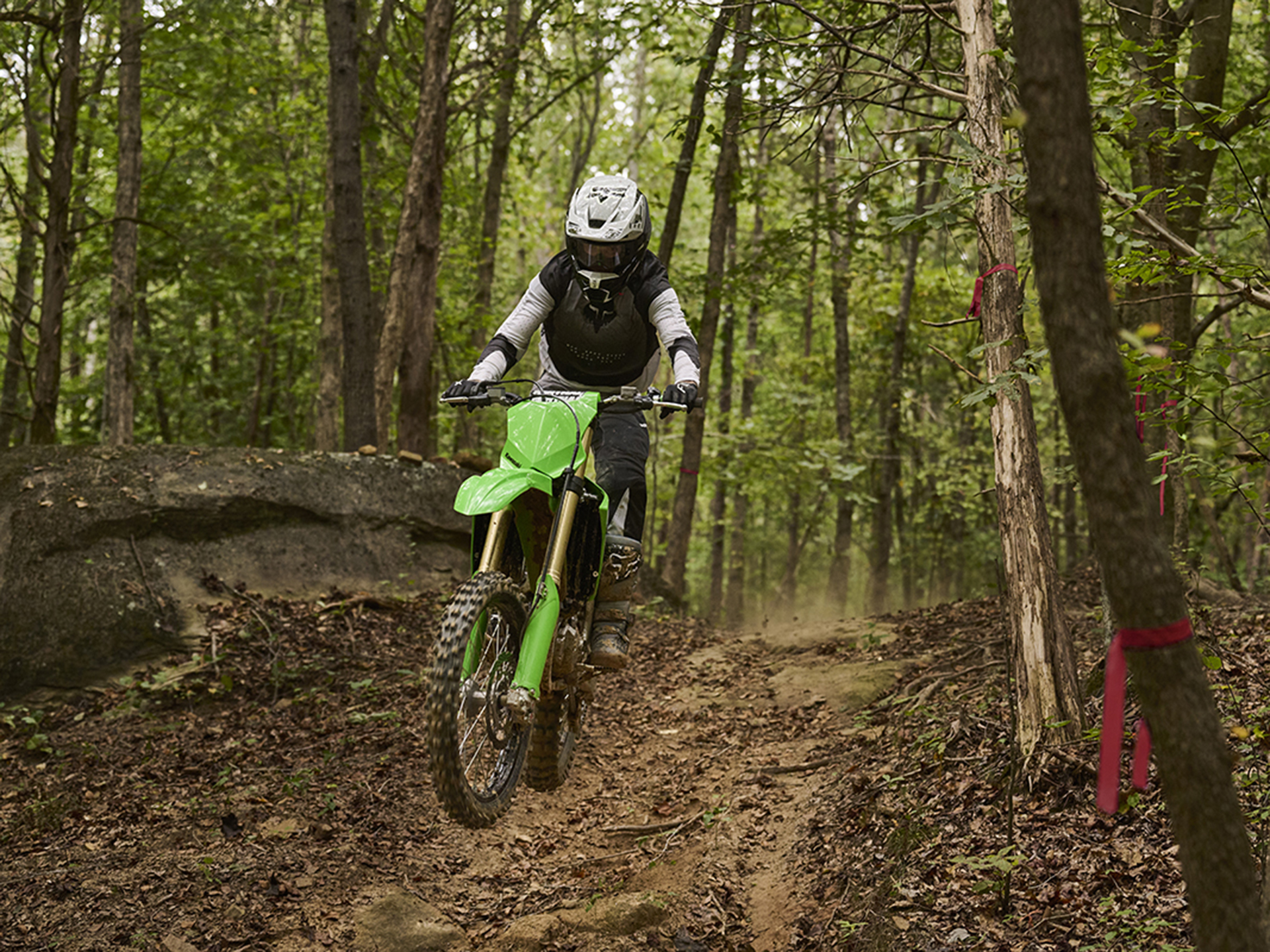 2024 Kawasaki KX 450X in Columbia, Missouri - Photo 6