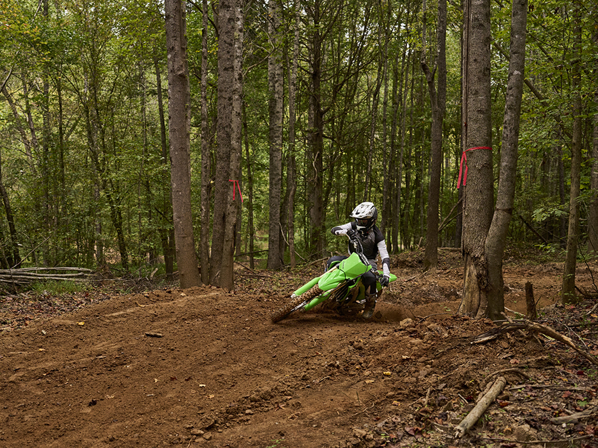 2024 Kawasaki KX 450X in Columbia, Missouri - Photo 7
