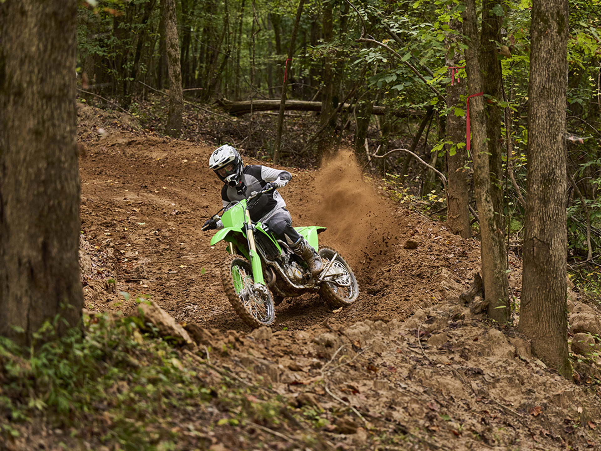 2024 Kawasaki KX 450X in Columbia, Missouri - Photo 9