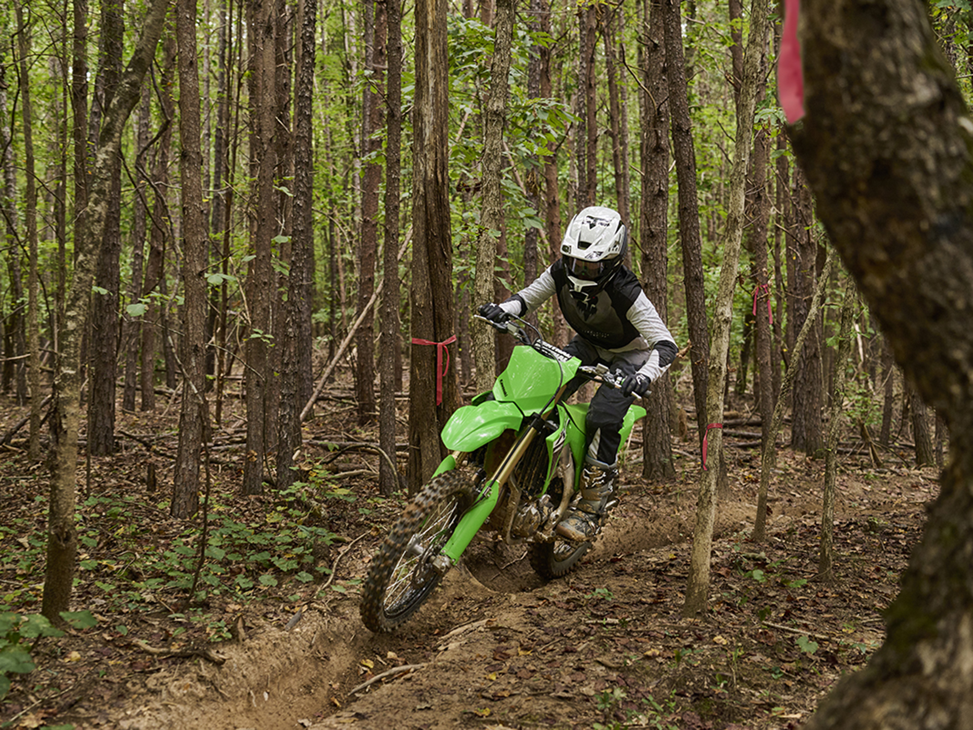 2024 Kawasaki KX 450X in Columbia, Missouri - Photo 10
