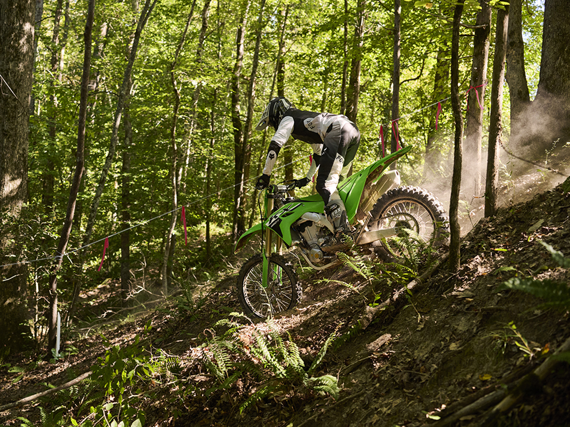 2024 Kawasaki KX 450X in Columbia, Missouri - Photo 11