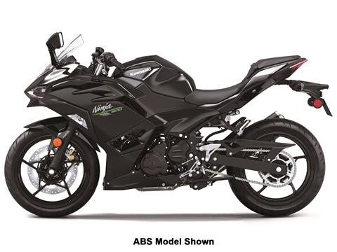 2024 Kawasaki Ninja 500 in Columbia, South Carolina - Photo 2