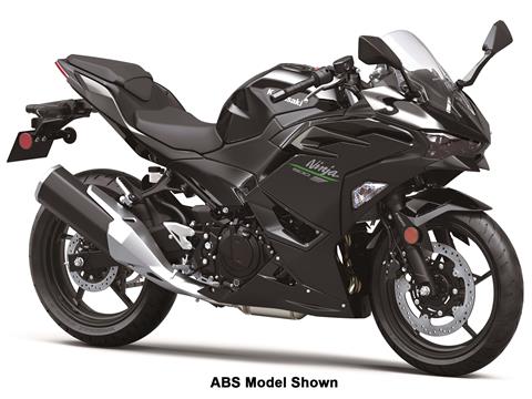 2024 Kawasaki Ninja 500 in Columbia, South Carolina - Photo 3
