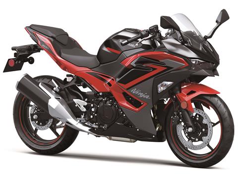 2024 Kawasaki Ninja 500 ABS in Eugene, Oregon - Photo 3