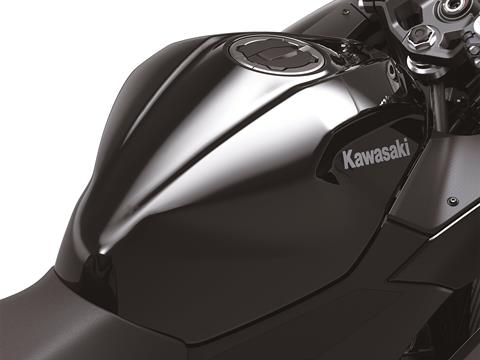 2024 Kawasaki Ninja 500 ABS in Eugene, Oregon - Photo 5