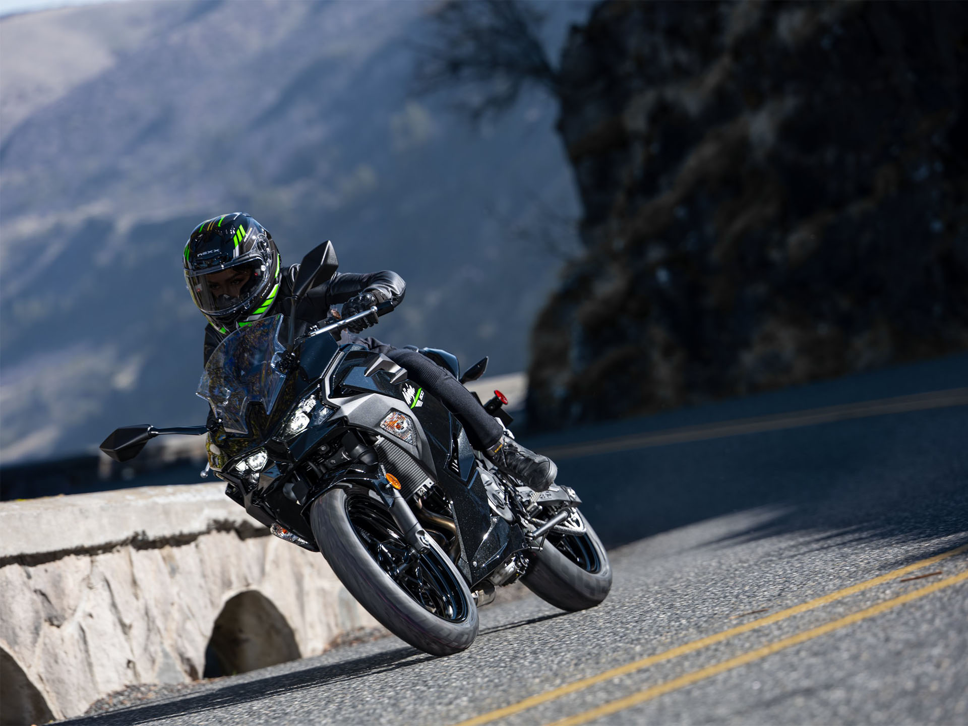 2024 Kawasaki Ninja 500 ABS in Eugene, Oregon - Photo 9