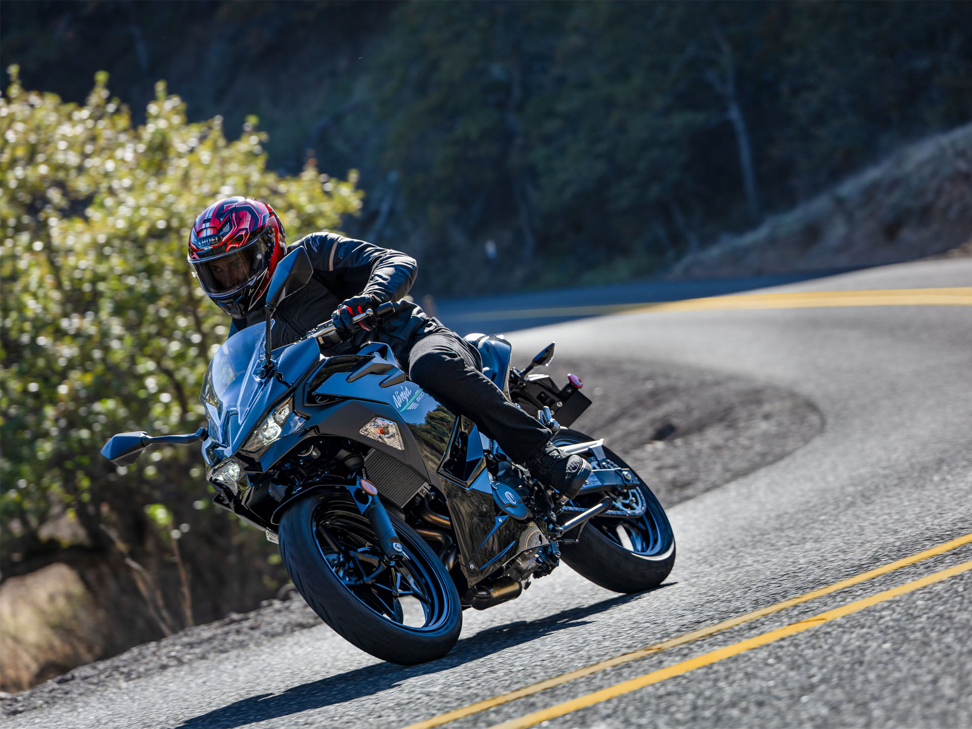 2024 Kawasaki Ninja 500 ABS in Eugene, Oregon - Photo 10