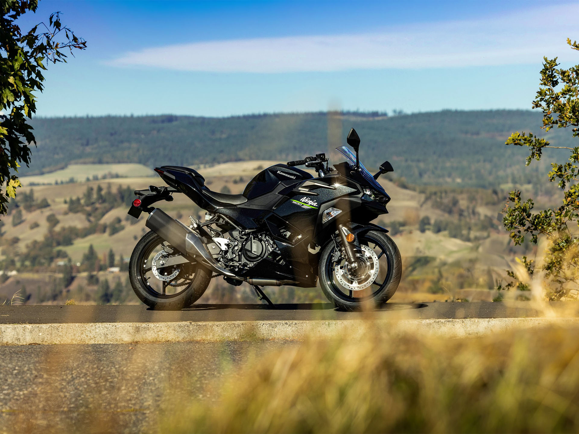 2024 Kawasaki Ninja 500 ABS in Eugene, Oregon - Photo 13