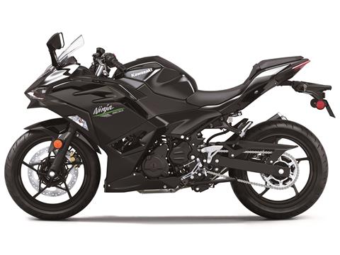 2024 Kawasaki Ninja 500 ABS in Marietta, Ohio - Photo 2