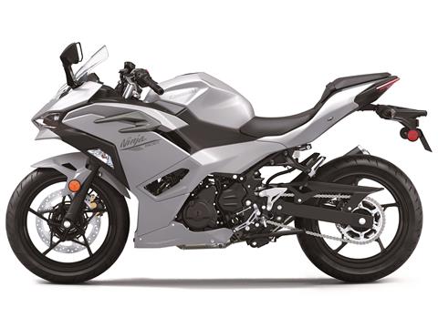 2024 Kawasaki Ninja 500 ABS in Hollister, California - Photo 2