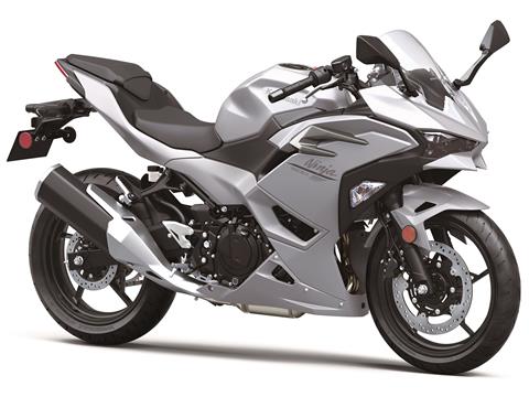 2024 Kawasaki Ninja 500 ABS in Hollister, California - Photo 3