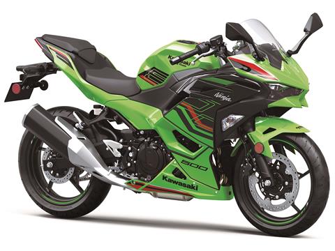 2024 Kawasaki Ninja 500 KRT Edition in Hollister, California - Photo 3