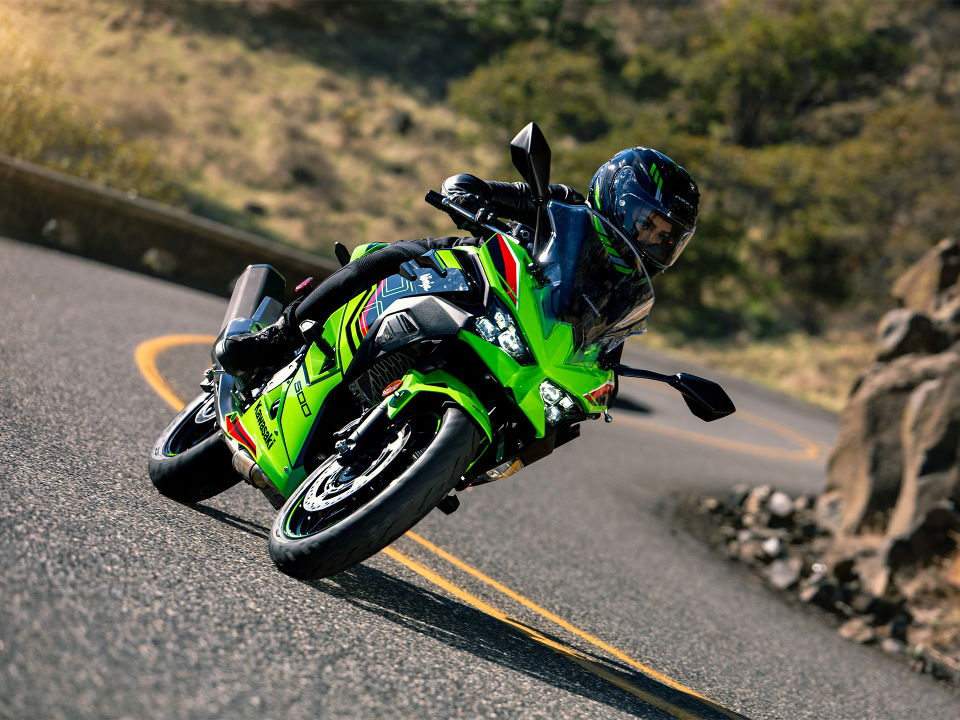 2024 Kawasaki Ninja 500 KRT Edition SE ABS in Columbia, Missouri - Photo 15