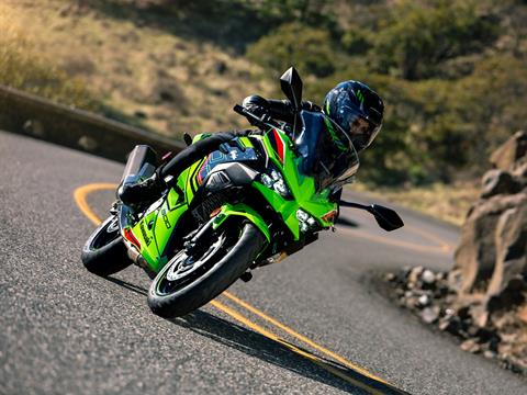 2024 Kawasaki Ninja 500 KRT Edition SE ABS in Columbia, Missouri - Photo 15