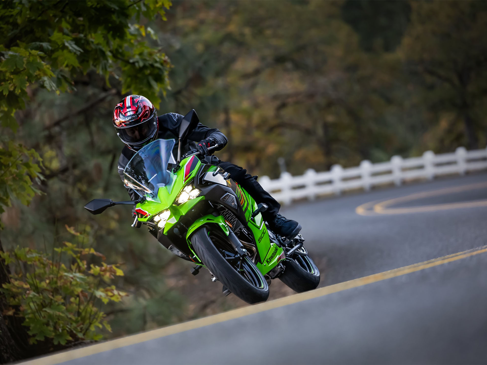 2024 Kawasaki Ninja 500 KRT Edition SE ABS in Columbia, Missouri - Photo 18