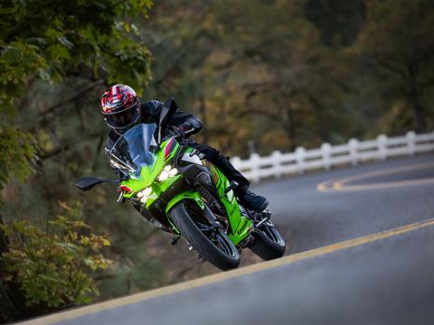 2024 Kawasaki Ninja 500 KRT Edition SE ABS in Columbia, Missouri - Photo 18